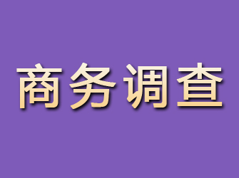 崂山商务调查